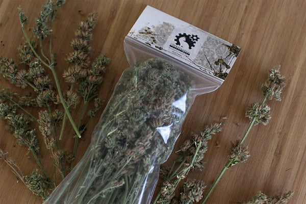 Nurtivy™ Catnip Buds - Dried & Organic