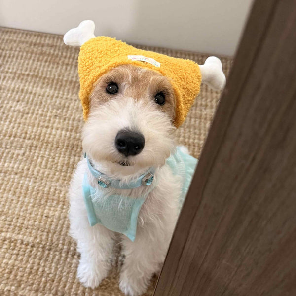 Nurtivy™ Chicken Legs, Dogs, Cats, Hats, Headsets